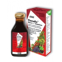SALUS FLORADIX JARABE 500 ML